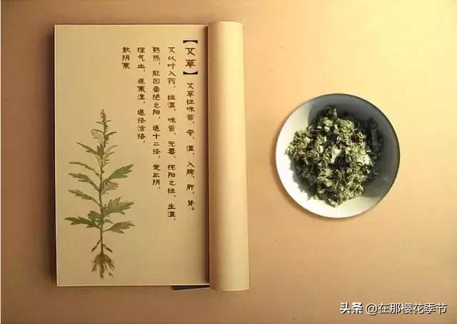一位客家妈妈用艾草煮水给儿子洗澡，结果万万没想到...