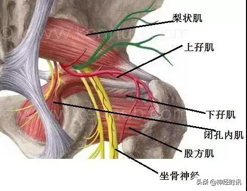病理脚麻的最快恢复方法,脚麻诊断思路