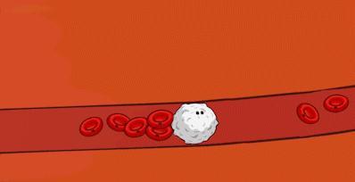 儿童血常规十几项异常是怎么回事,儿童血常规三大禁忌