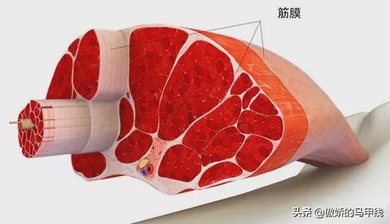大众跑者马拉松前一周如何训练,跑者的准备工作