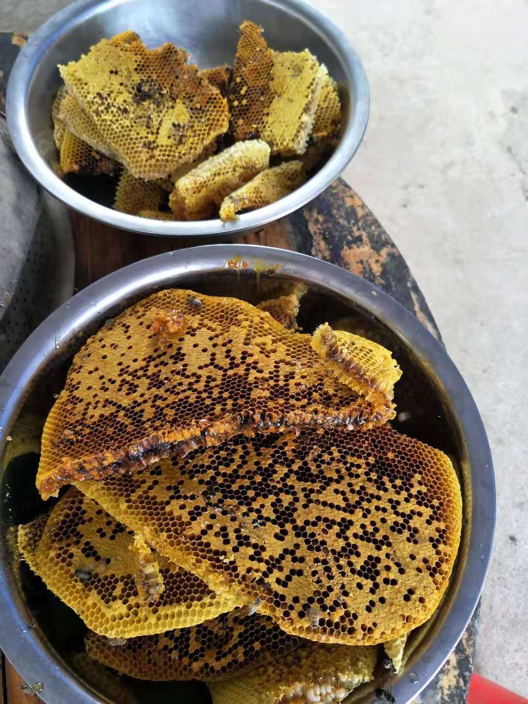 寻找野生蜜蜂教程,寻找蜜蜂老巢绝招