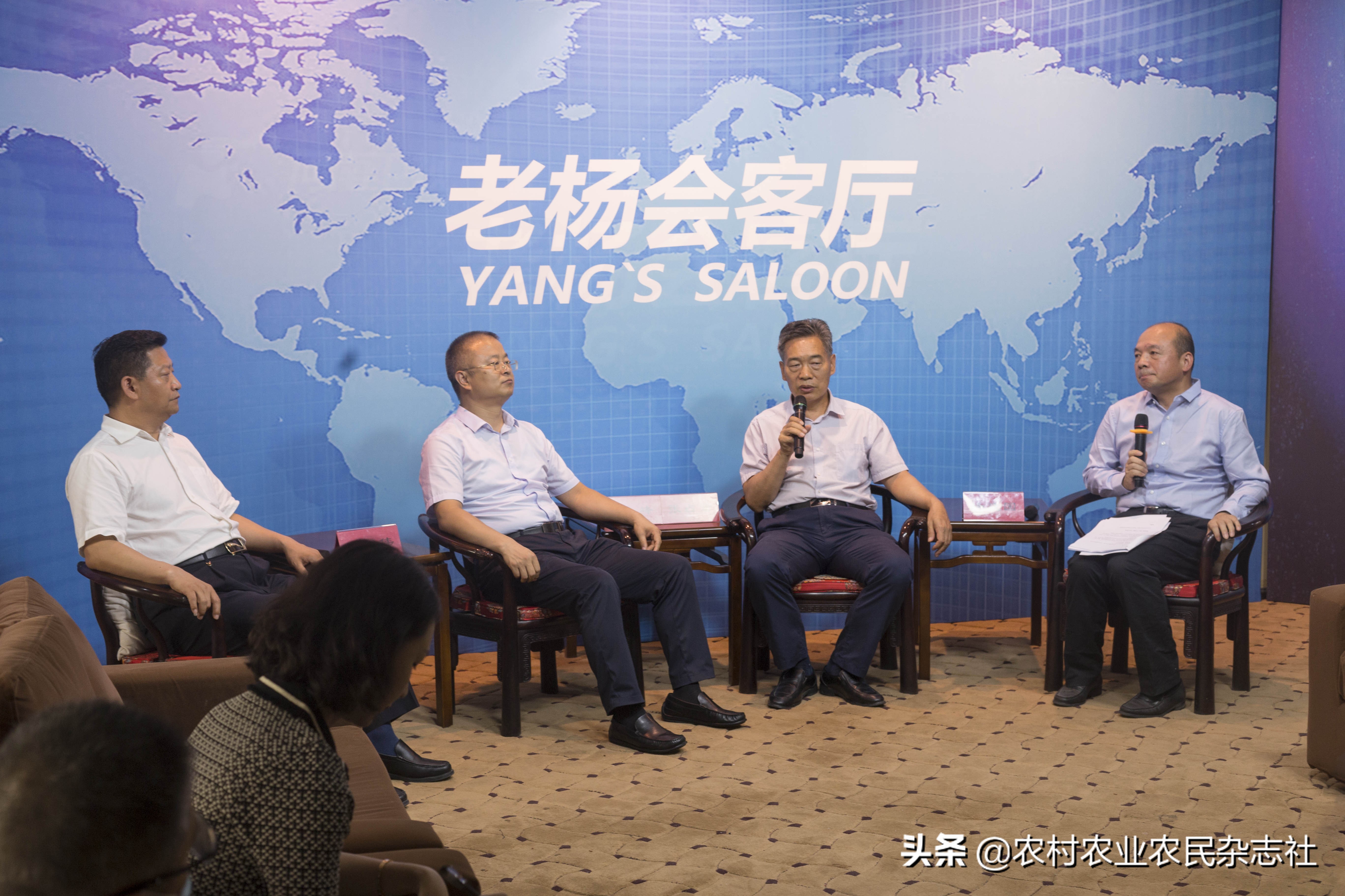 老杨会客厅80后,老杨会客厅