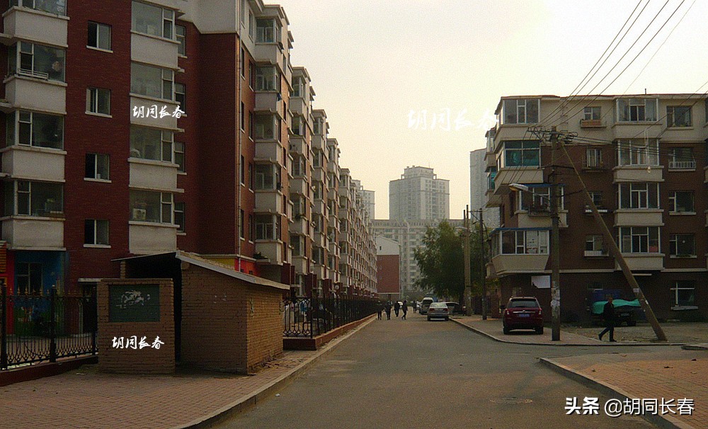 好男不娶桃源路什么意思,好男不娶桃源路好女不嫁八里堡