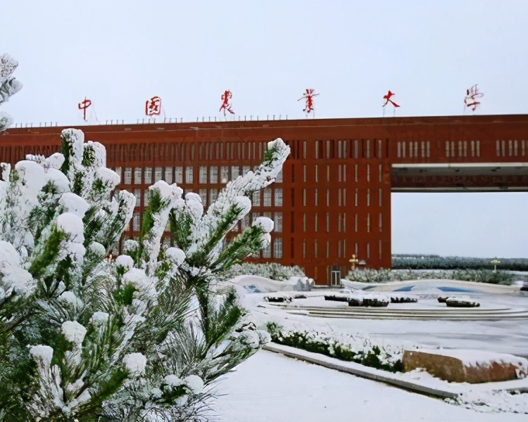 聊聊山东的大学（二）：哈工大威海、曲阜师大、青科大、济南大学