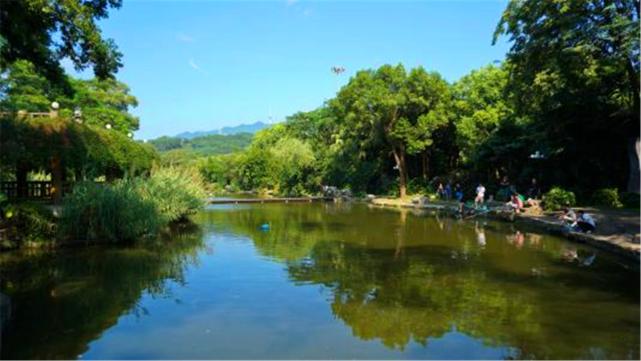 深圳不可不去的五个免费公园,深圳一个集休闲娱乐观光的公园