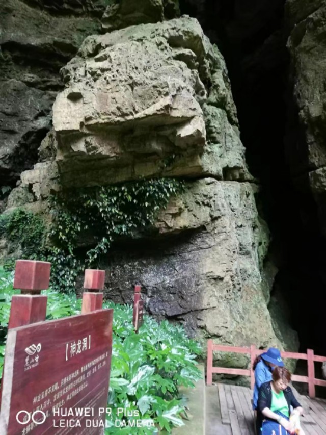 重庆黑山谷避暑适合吗,重庆避暑7天黑山谷