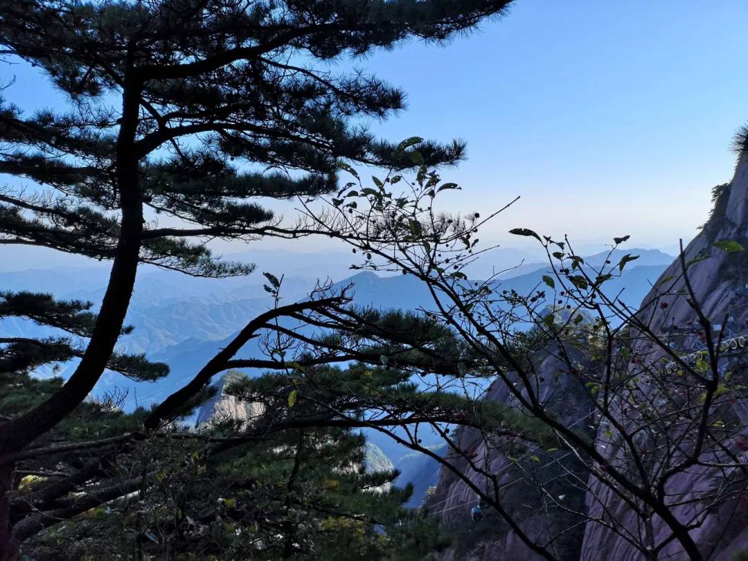 秋至黄山：当秋光与山色齐放