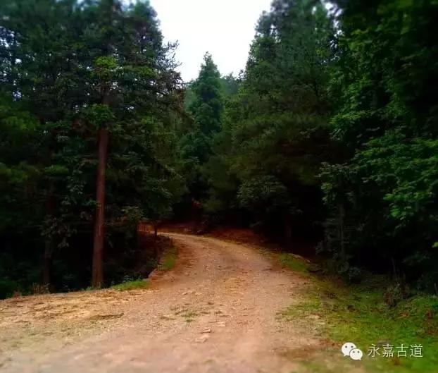 温州四海尖上观日出，初阳如血，美轮美奂，绝无仅有