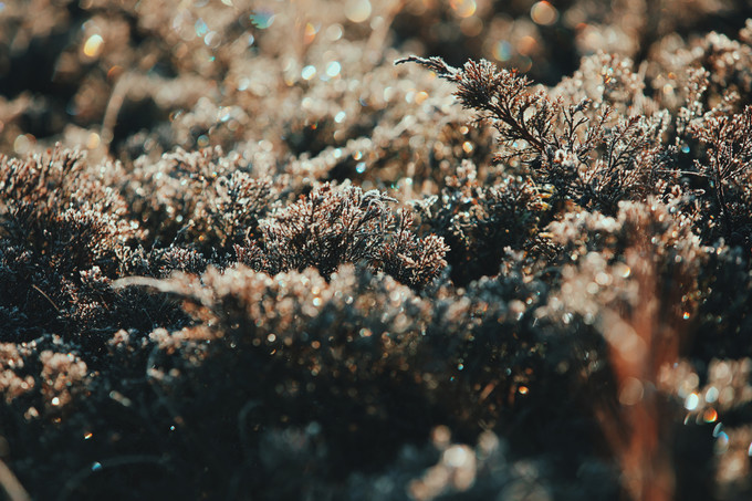 自驾呼伦贝尔｜七千里路云和月，写给秋天和自己的故事