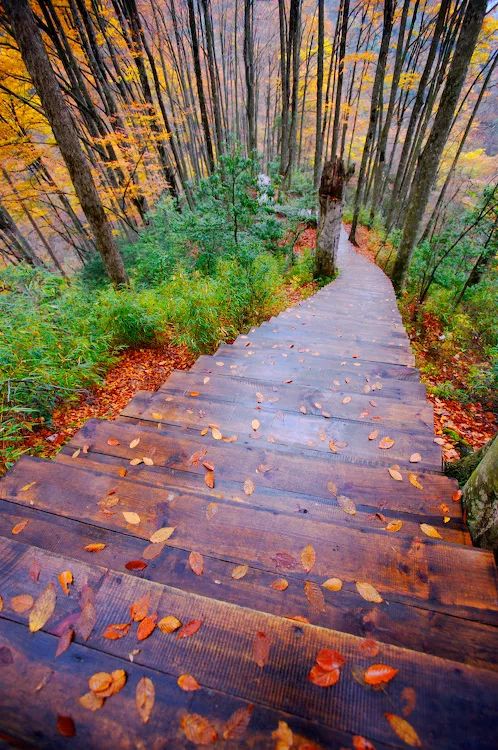 秋季人少景美的小众旅行地,最清静优雅的旅游之地