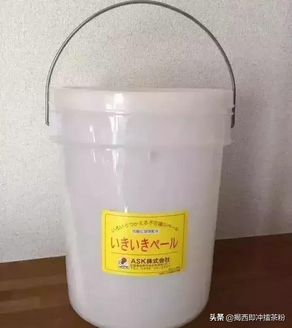 酵素到底靠不靠谱,公认有效的酵素