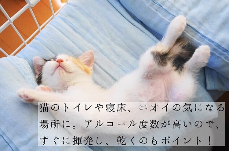 年末大扫除必备清单,年末大扫除日本