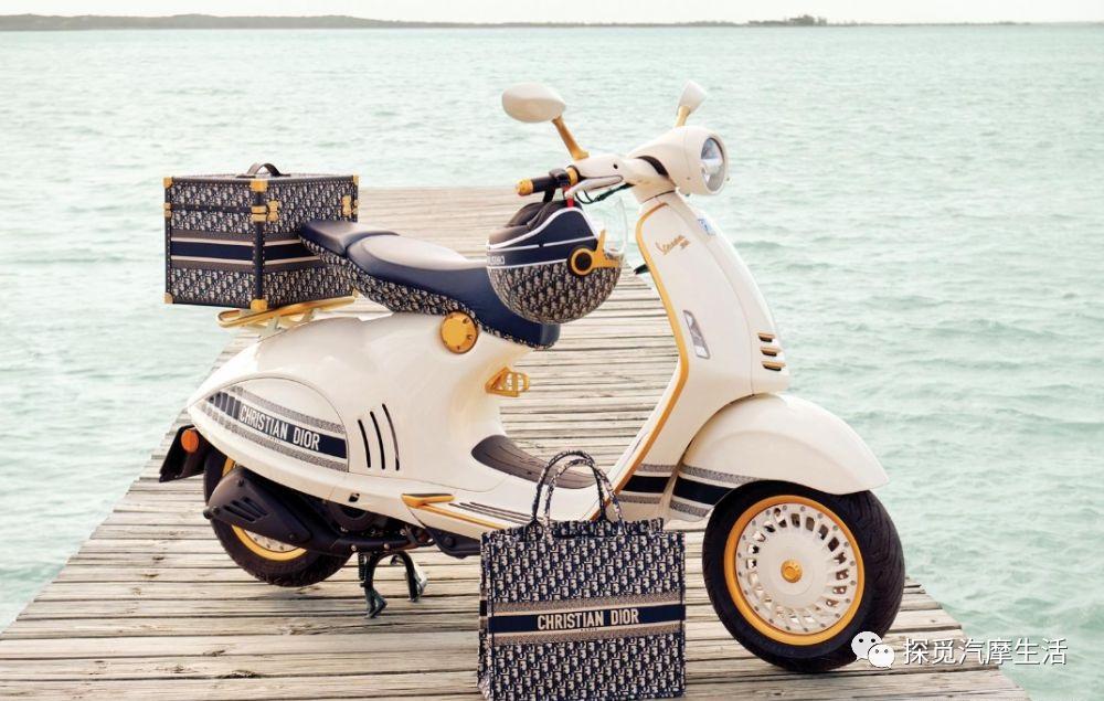 城市森林里的小精灵,森林中迷人的小精灵