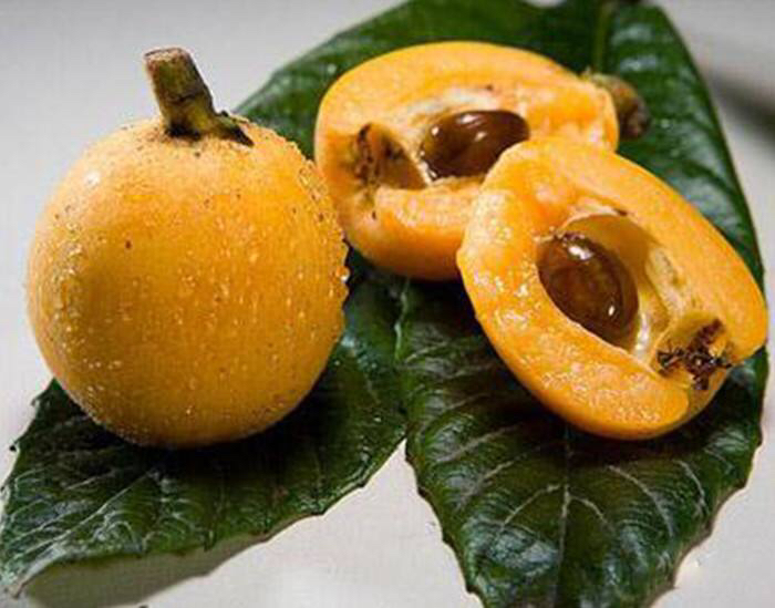 吃水果把核吞进去了,吃完芒果把核扔花盆里