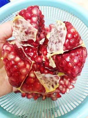 石榴病虫害防治方法,石榴的病虫害如何防治