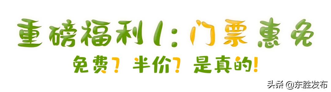 清明去哪里玩鄂尔多斯,鄂尔多斯清明