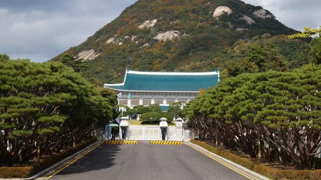 韩国超强打卡美食推荐,韩国必打卡的网红