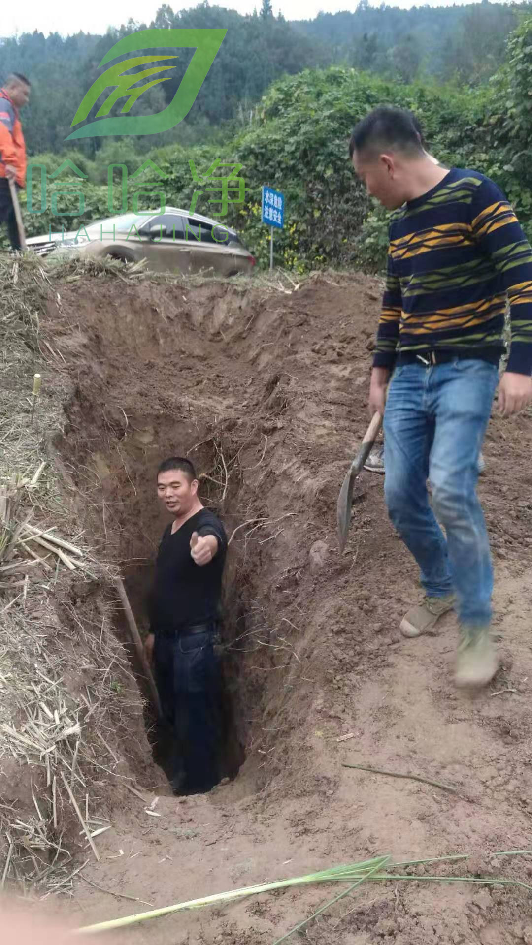 重庆工厂白蚁防治电话,重庆工厂白蚁防治哪家专业