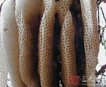 哪种物质被日本科学家称之为二十世纪最伟大的天然物质？