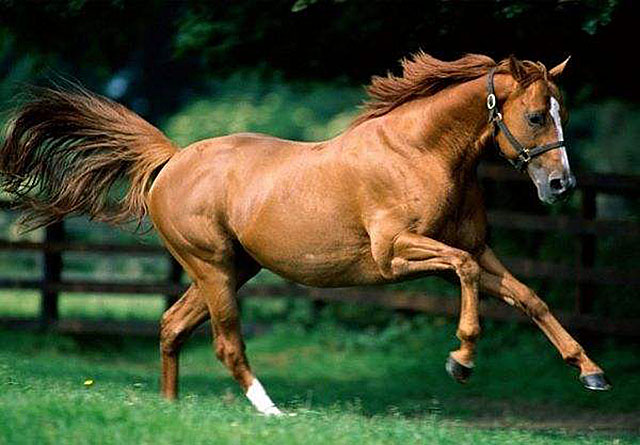 南宋偏安的内容作用,偏安宋朝