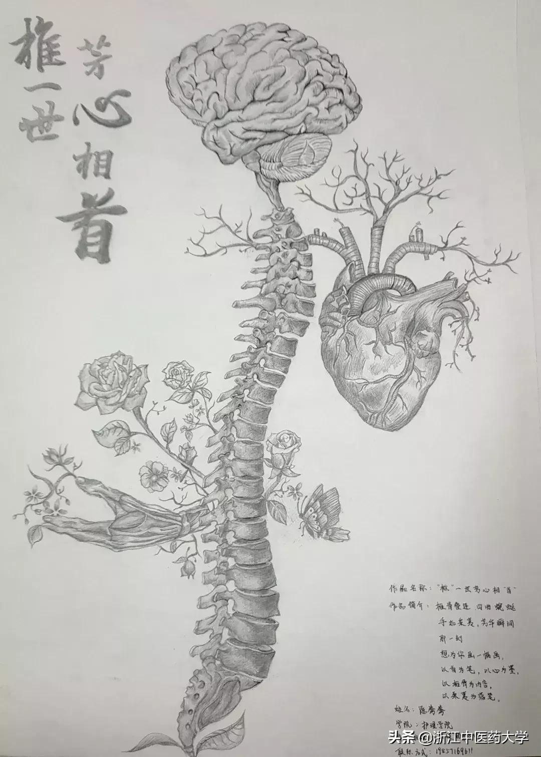 Amazing怎么写,wonderful怎么画