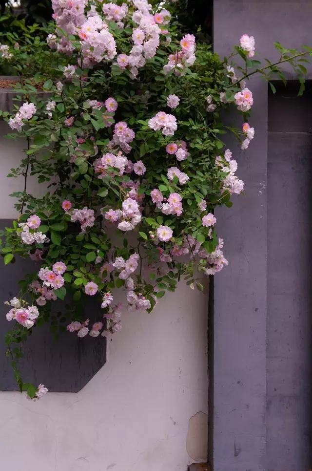 南京是属于哪个省的,南京是现在的哪个城市