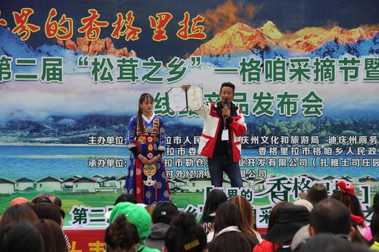 松茸的乡村振兴模式,保护松茸资源助推乡村振兴