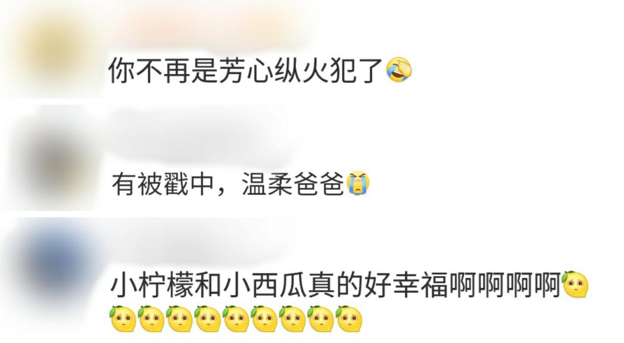 撒贝宁宠溺龙凤胎,撒贝宁谈龙凤胎视频