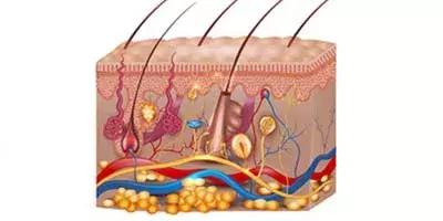 治疗白癜风要吃激素药吗,治疗白癜风没有激素的中药