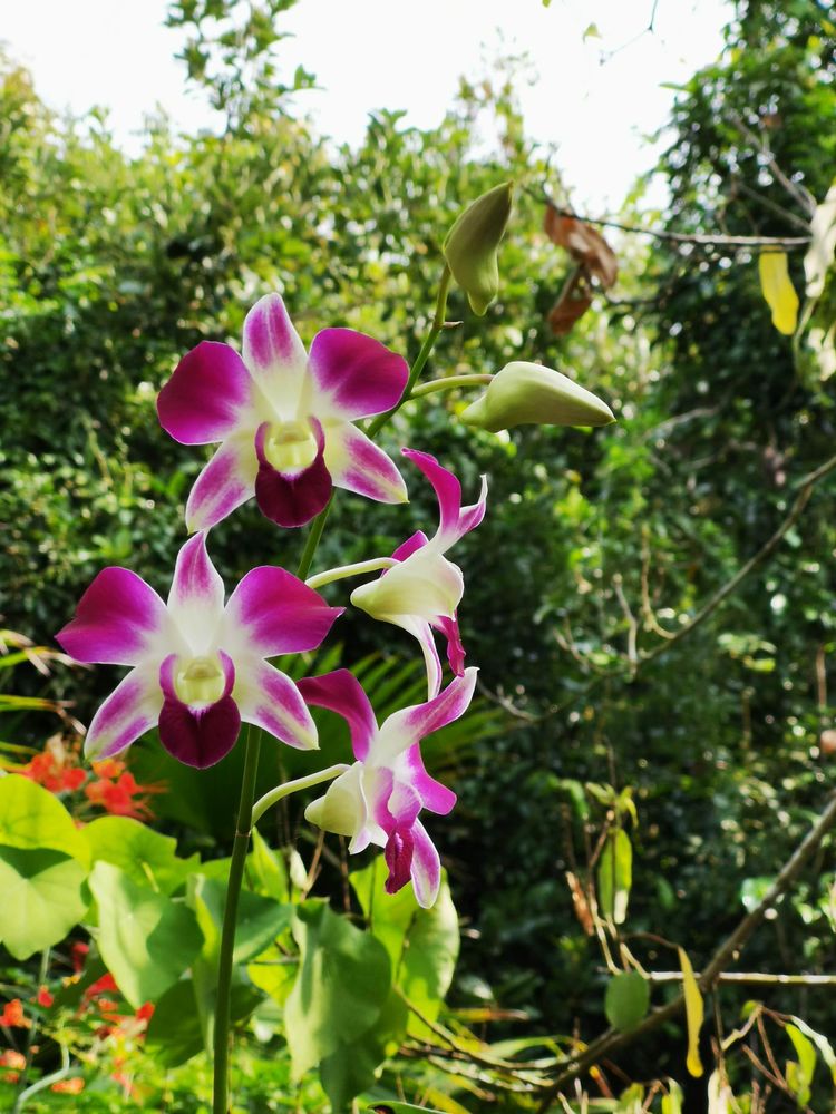 三亚冲浪旅行攻略,去三亚旅游看海
