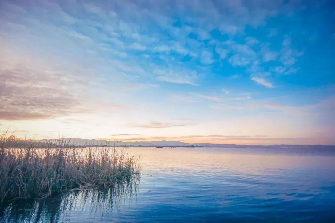 100句美到可以签名的诗句,美到极致的签名诗句