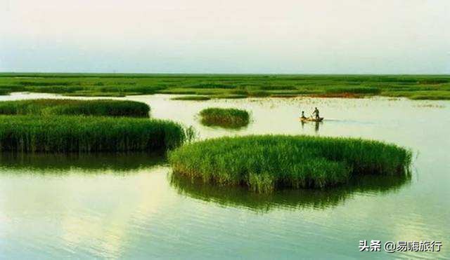 天津周边踏春好地方,天津一日游踏春路线