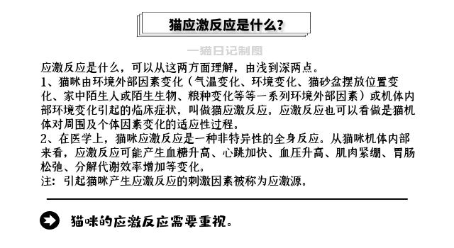 新猫到家躲在猫砂盆里怎么办,猫躲在床底不出来怎么把它弄出来