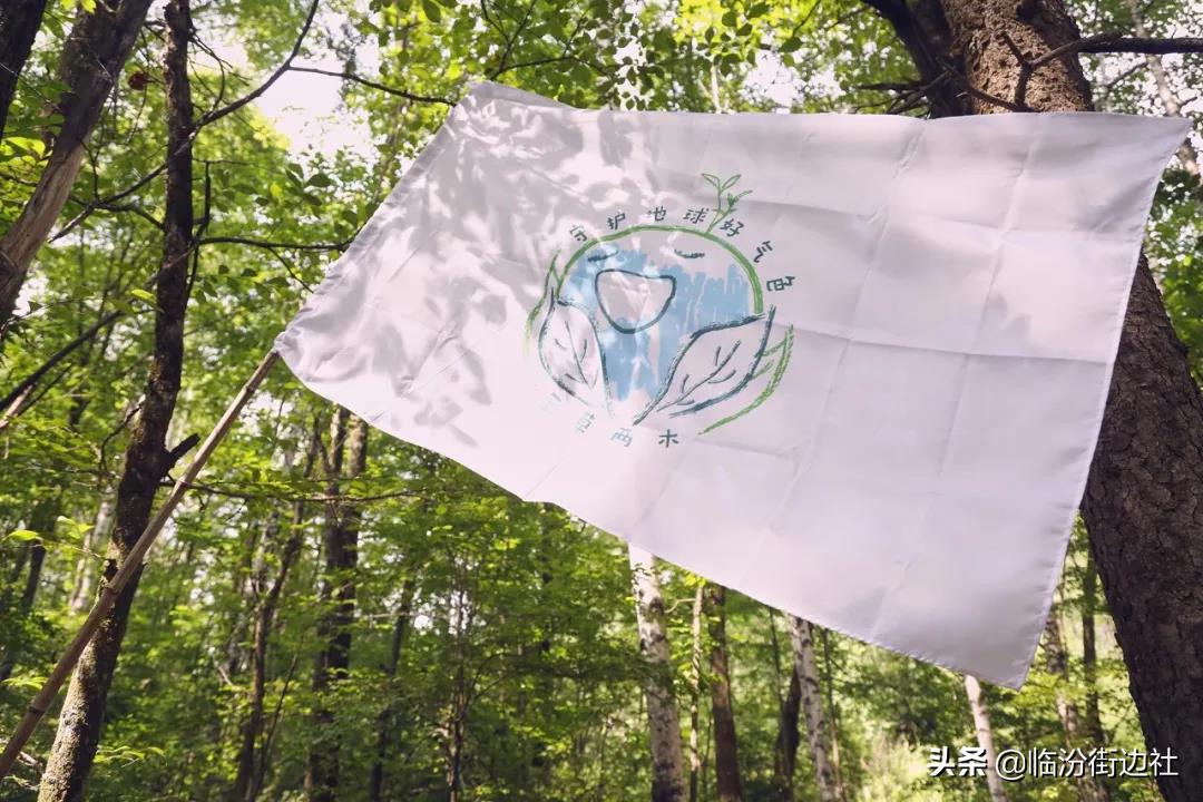 三草两木我们这十年,三草两木用后感悟