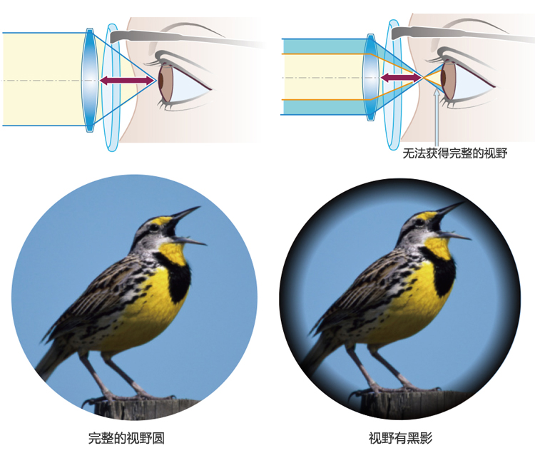 双筒望远镜使用方法教程视频,单筒望远镜正确使用技巧