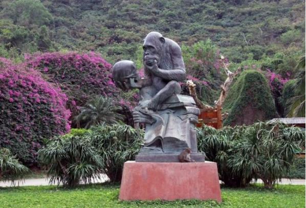 海南陵水旅游景点攻略,海南海口旅游攻略推荐景点