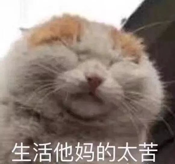 小佩智能无菌碗,小佩饮水机小黑盒清洗