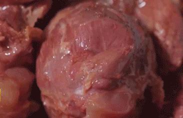 涡阳十大名吃排名,安徽涡阳的特色美食有哪些