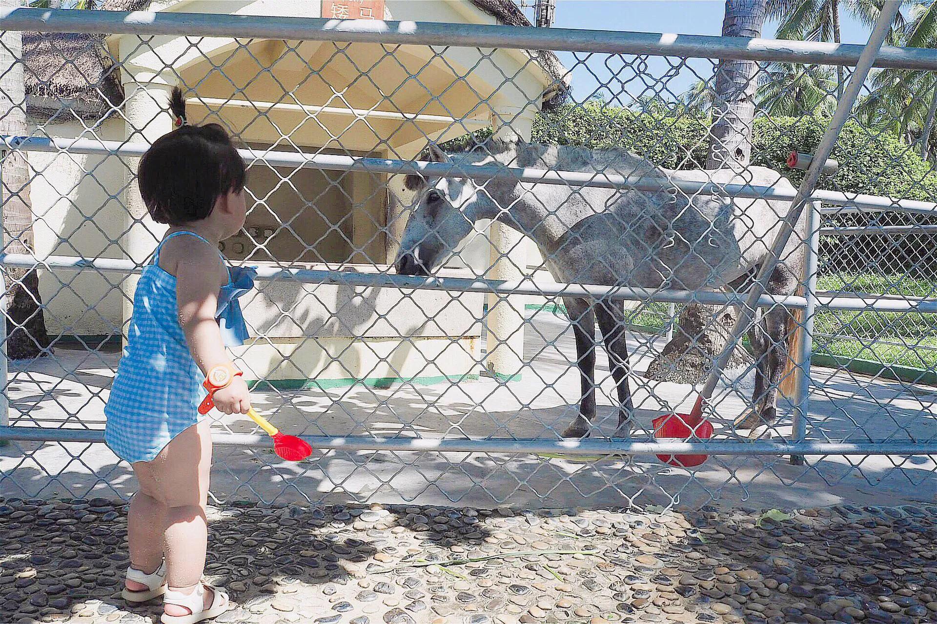 三亚天域亲子度假酒店,三亚最值得一去的亲子度假酒店