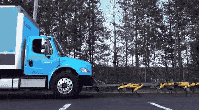 50万一只的波士顿机器狗,中国购买的波士顿机器狗