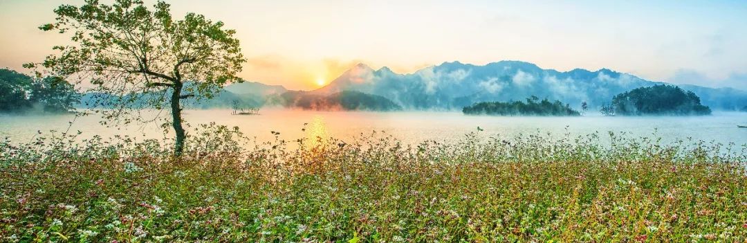 吐鲁番的葡萄熟了的风景,吐鲁番的葡萄熟了美丽的风景
