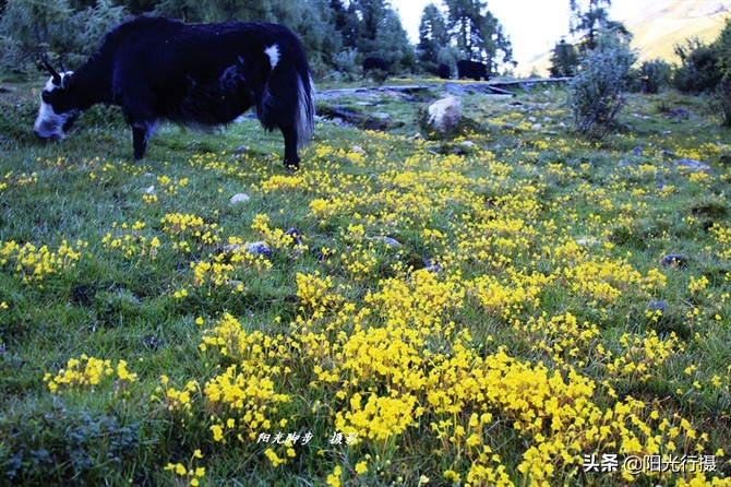 木格措摩旅看贡嘎雪山,川西旅游新秘境贡嘎雪山