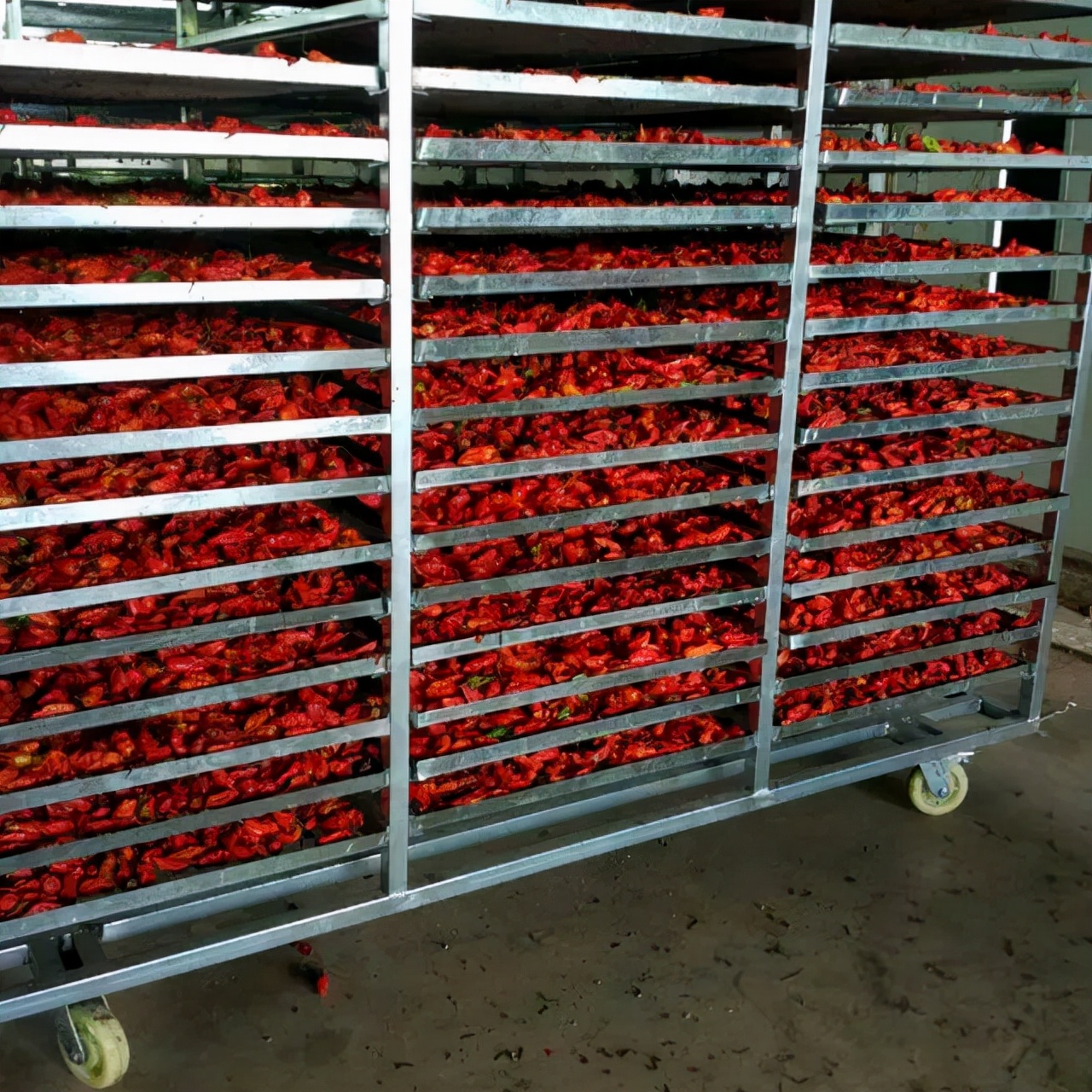 超级工业辣椒,工业辣椒完美收官