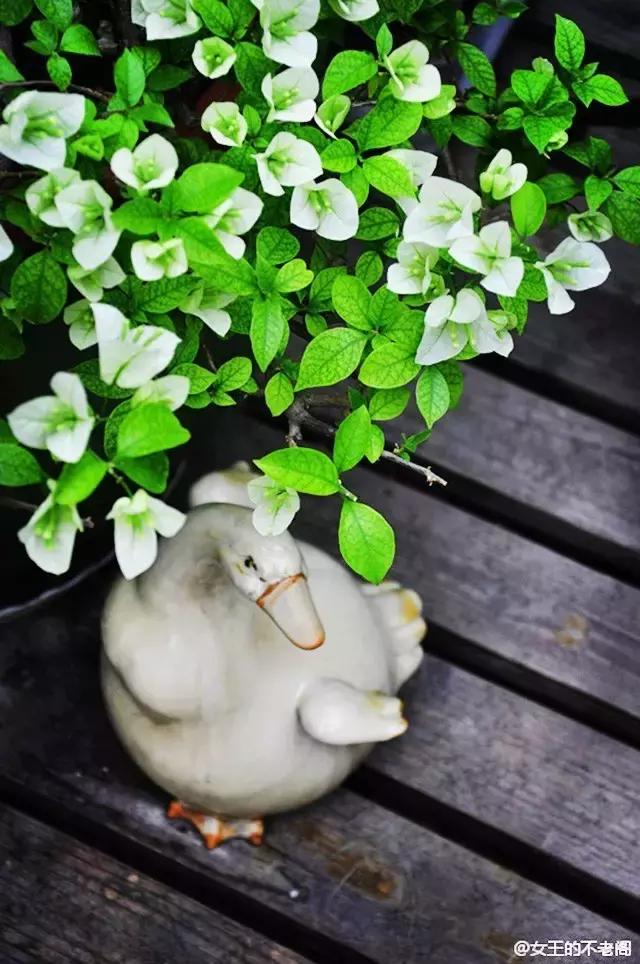 她40岁之前忙成狗，40岁之后在上海买房隐居