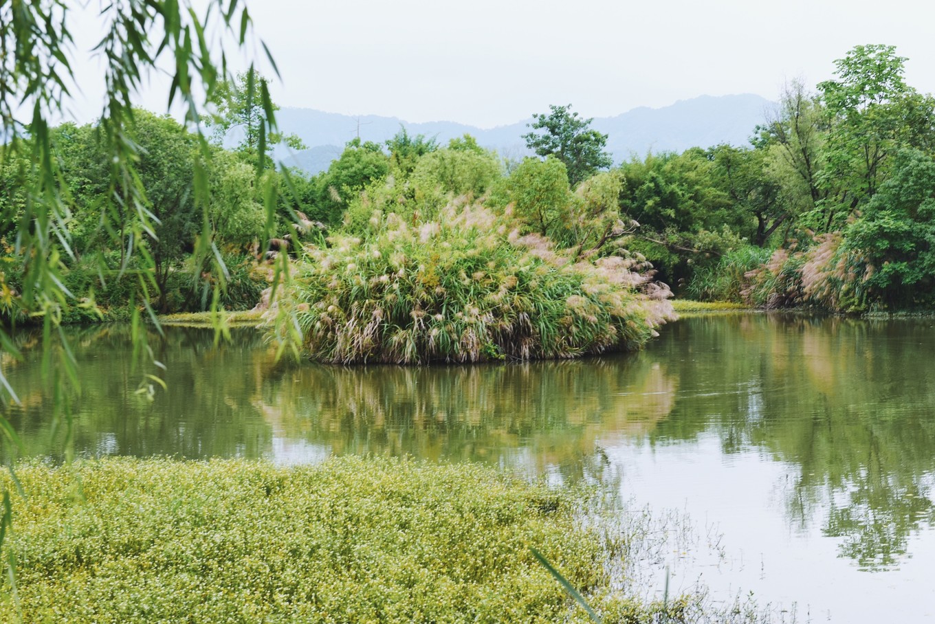 绿色世界花的海洋，在十里芳菲宠爱自己的24小时