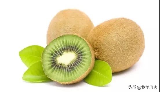 猕猴桃软枣黑斑病害治疗方法,病虫害图谱大全及答案