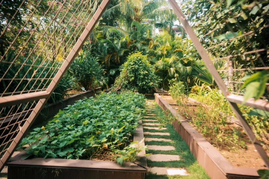 三亚海棠湾君悦至尊海景房,三亚海棠湾性价比5居别墅