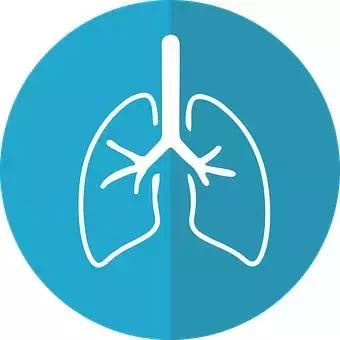 雾霾吸进肺里怎么办,吸入肺里的雾霾能排出来吗