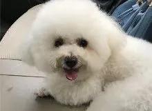 一封写给最深爱的女人离别信,一封写给女人的信