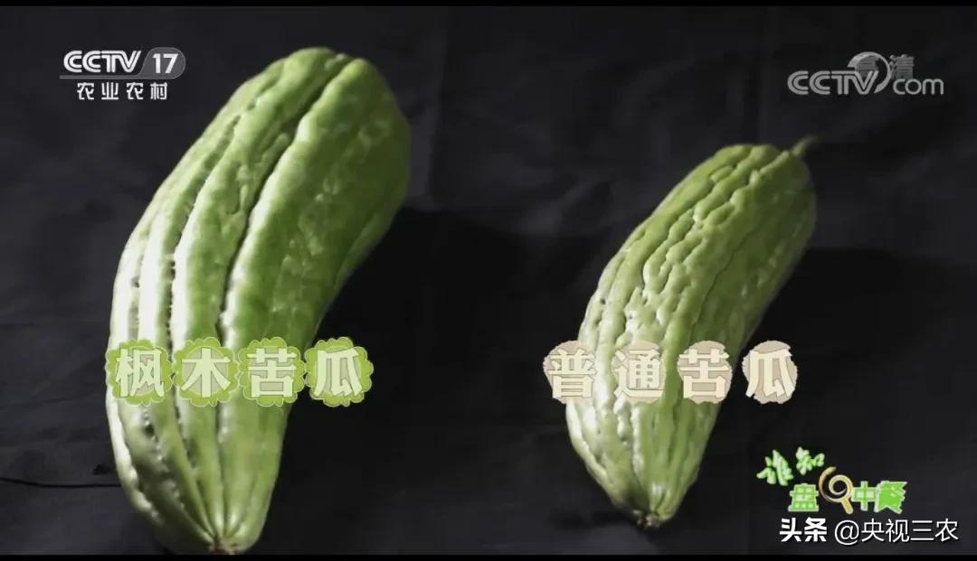 苦尽甘来蜜汁苦瓜做法,苦尽甘来的苦瓜做法